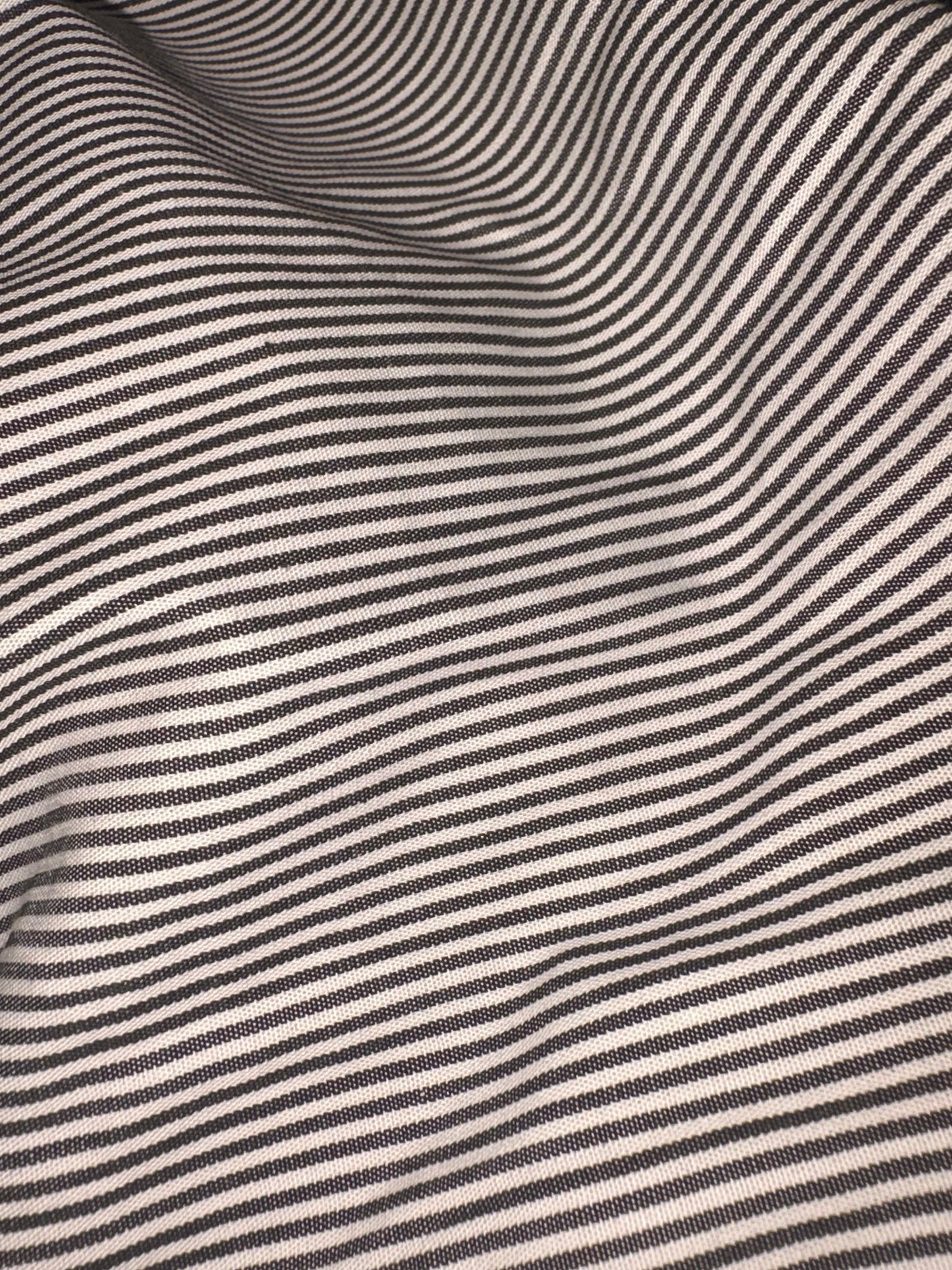 The Zebra Parallel Pant