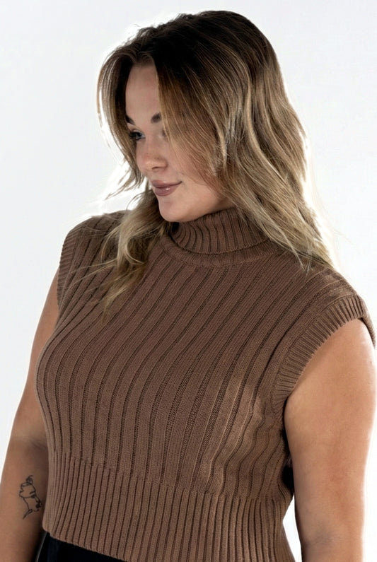 The Turtleneck Sleeveless Sweater