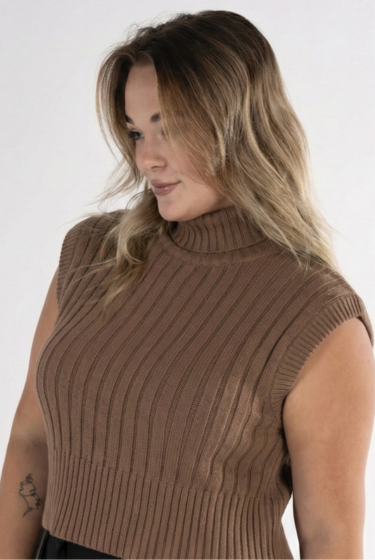The Turtleneck Sleeveless Sweater